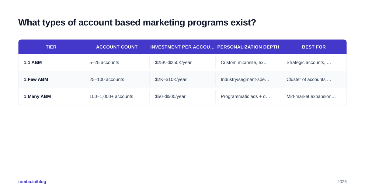 Diagram: What types of account based marketing programs exist