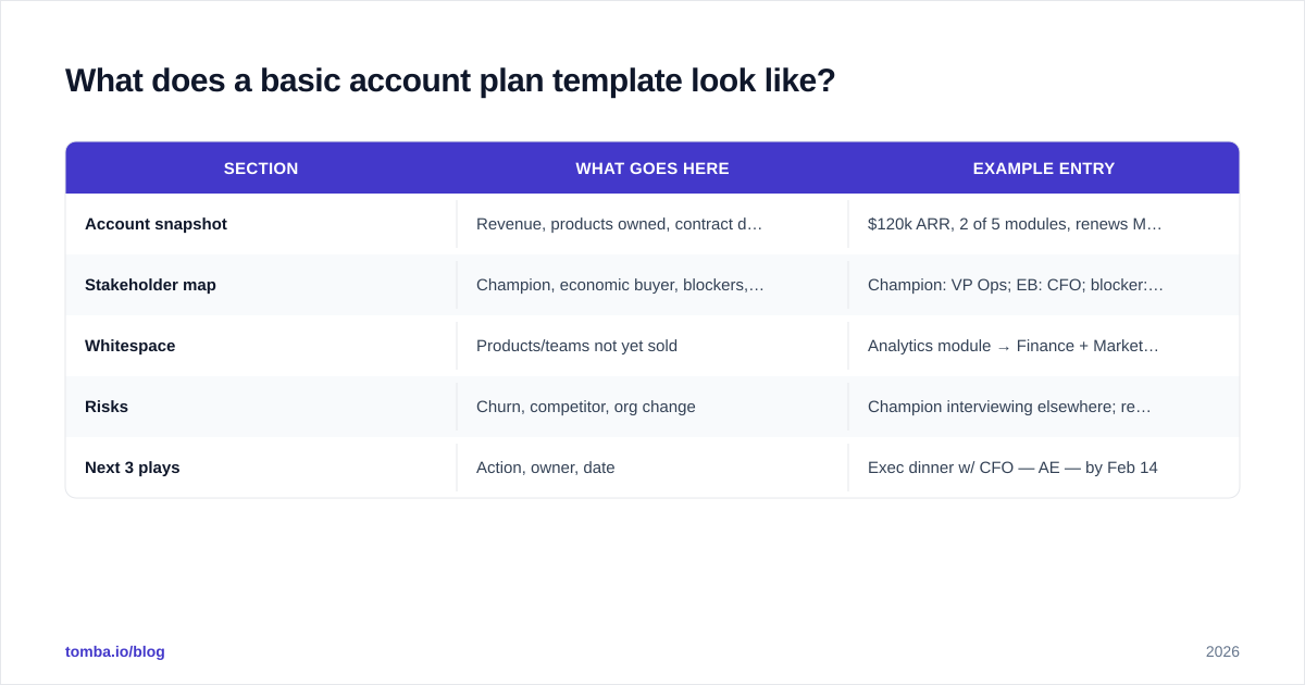 Diagram: What does a basic account plan template look like