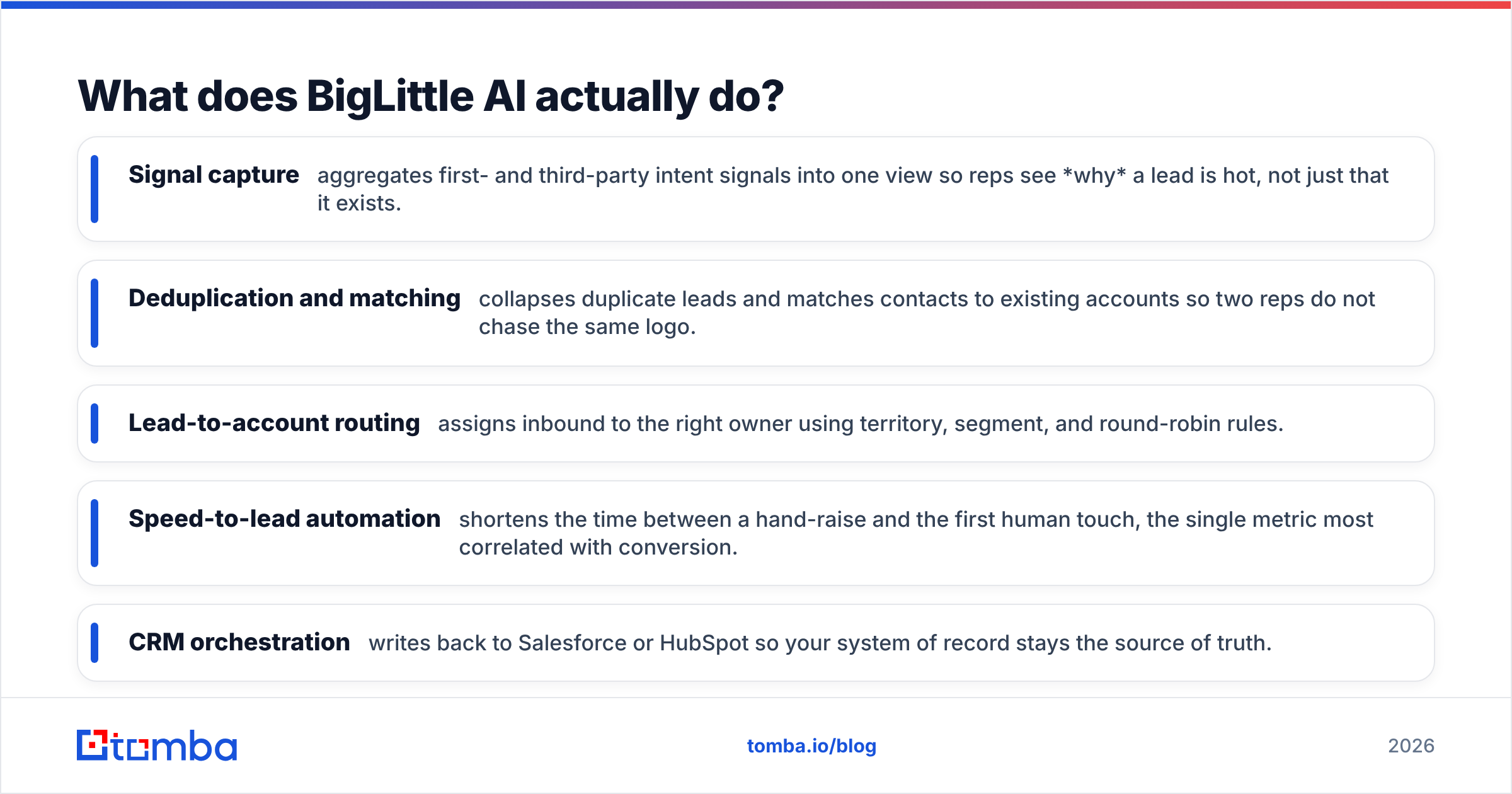 Diagram: What does BigLittle AI actually do