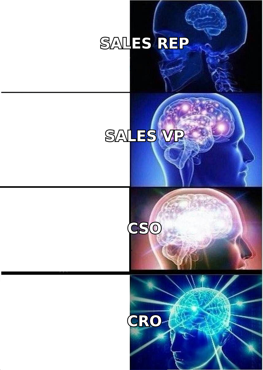 Progression from sales rep to VP to CSO to CRO