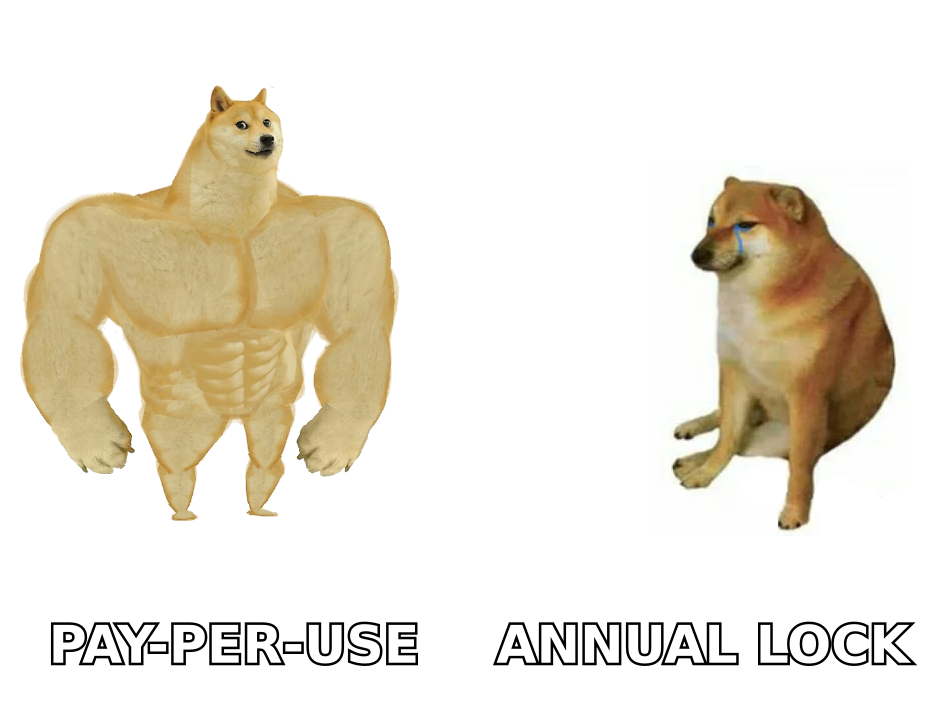 DiscoverOrg vs Zintlr: buff dog vs weak dog comparing pay-as-you-go data credits against locked annual contracts