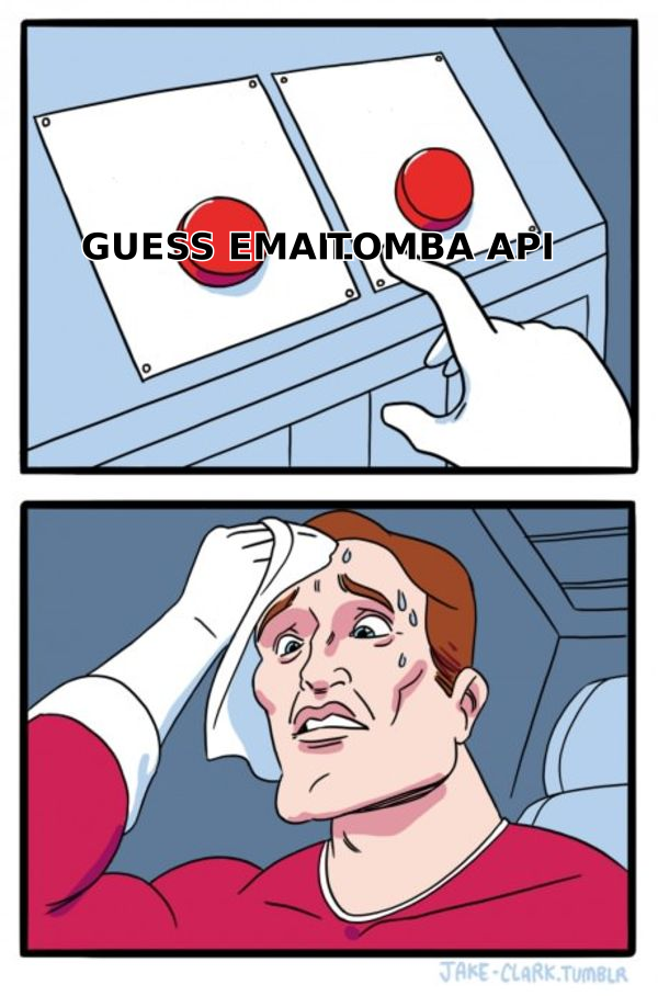 Choosing between guessing an email pattern manually and calling an API