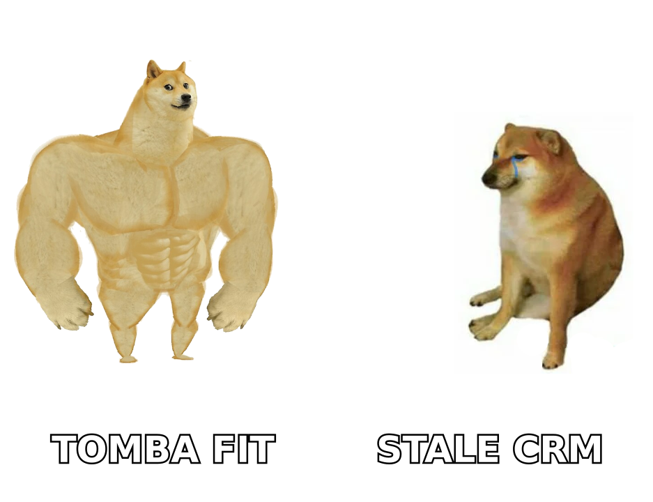 Strong verified firmographic data versus a stale CRM record
