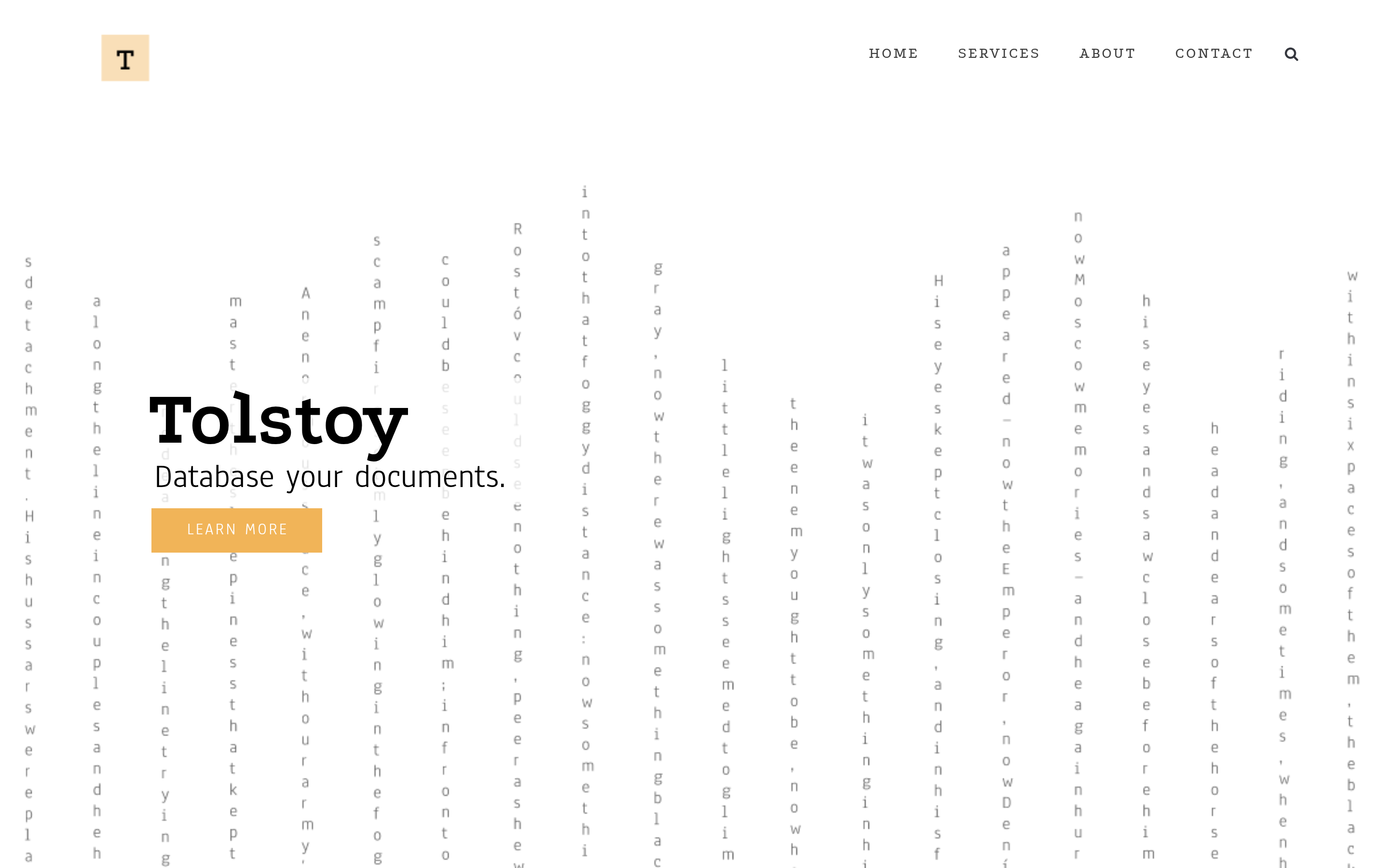 Tolstoy website screenshot — product, features and pricing